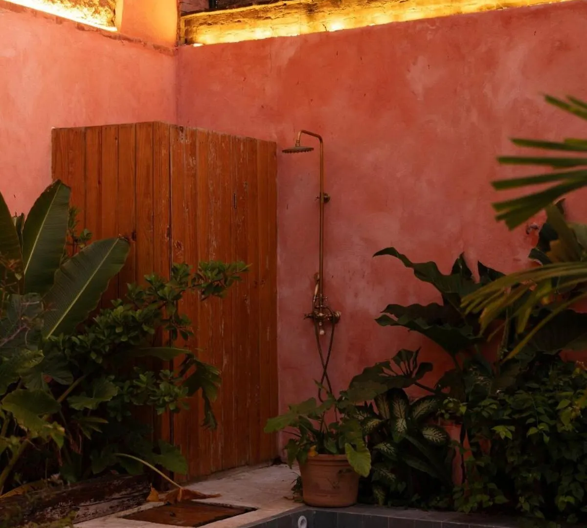ヴィラ サントドミンゴ Casa Grullon, An Oasis In The Colonial Zoneヴィラ
